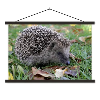 Produktbild von MuchoWow® Textilposter Igel im Gras 150x100 cm mit schwarzem Rahmen - Schlafzimmer