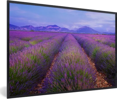 Produktbild von MuchoWow® Gerahmtes Poster Lavendelfelder in der Abenddämmerung 90x60 cm - Poster mit Schwarzem Bilderrahmen Wandposter Rahmen Foto Bilder - Fotorahmen - Foto-Plakat
