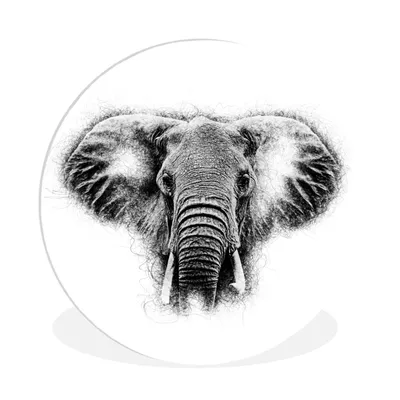 Produktbild von MuchoWow® Rundes Wandbild - Runde Bilder Elefant - Tiere - Schwarz - Weiß Ø 90 cm Kreis Wanddekoration Kunststoff - Wandkreis - Wandschmuck - Wand-Kreis - Wohnzimmer - Bild - Runde - Wanddeko - Dibond - Kunstdrucke