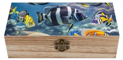 Image de Boîte de rangement en bois avec couvercle à charnières