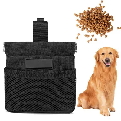 Produktbild von Leckerlibeutel für Hunde, multifunktionale Futtertasche mit automatischem Verschluss und Gürtelclip, wasserdichtes Nylon