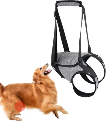 Produktbild von Hundehebeschlinge - Stützkabelbaum für Senioren und verletzte Hunde