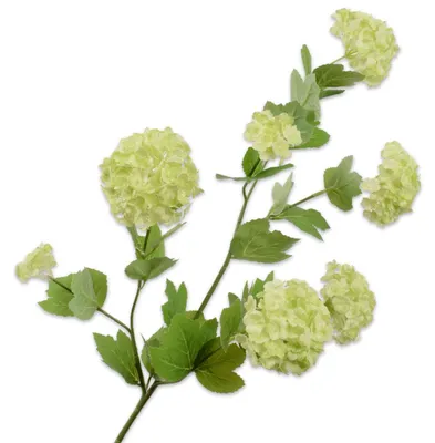 Produktbild von Silk-ka Seidenblume Schneeball Zweig Grün (78cm)