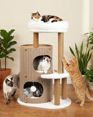 Image de Arbre à chat avec 2 étages et maison de sommeil - Stable pour plusieurs chats