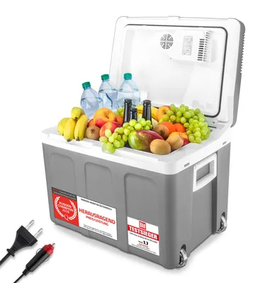 Produktbild von TZS First Austria - Kühlbox 45L elektrisch 12V 230V Anschluss für Auto & Steckdose - Thermoelektrisch - Grau