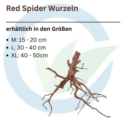 Produktbild von Red Spider Aquarium Wurzel, Naturprodukt, Länge 30-40 cm, nicht vorgewässert