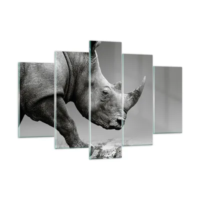 Produktbild von Bilder auf glas - 5 Teile - Nashorn Monochrom Tier - 150x100cm - Glasbilder - Wandbilder - Bilder - zum Aufhängen bereit - Wanddekoration aus Glas - Glas Bilder - Wandbild auf Glas - GEA150x100-4954