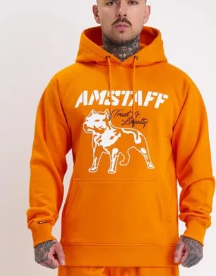 Produktbild von Herren Hoodie Amstaff Logo 2.0, Orange - Größe M