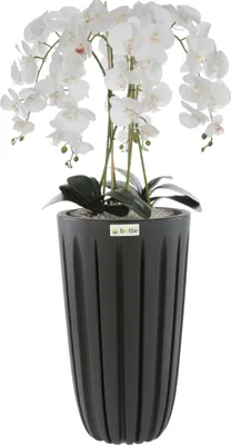 Produktbild von Künstliche Orchidee Weiß Kaskaden Blumenstrauß im Topf mit Rillen Anthrazit, H 100 cm, gummierte Blumen, 5 Triebe Dekoration Schön Stilvoll Für Zuhause, Büro, perfektes Geschenk