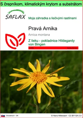 Obrázok produktu pre SAFLAX Garden to go - Pravá Arnika - Arnica montana - 40 Semená - S črepníkom, klimatickým vekom a pestovateľským substrátom