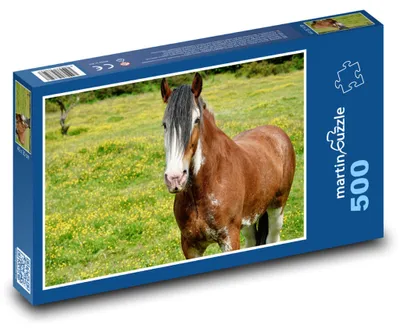 Zdjęcie produktu dla Puzzle 500 Koń na łące - martinpuzzle