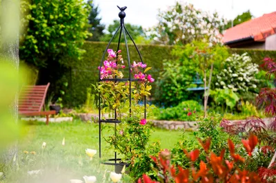 Produktbild von Gebogenes Metallspalier "Birdy Obelisk" 0,35 x 1,50 m