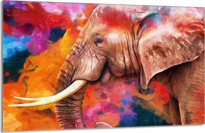 Produktbild von Glasschutzplatte für den Herd 80x52 Elefant