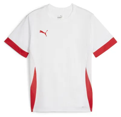 Produktbild von PUMA teamGOAL Matchday Jersey jr