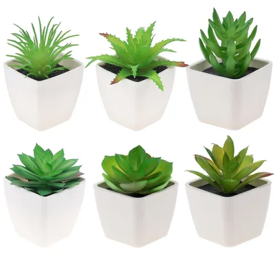 6 Kunstpflanzen Sukkulenten in Töpfen, Mini-Bonsai-Deko, 7,2–8,1 cm
