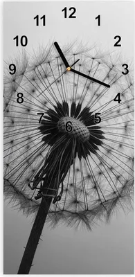 Produktbild von Wanduhr aus Glas mit Motiv Pusteblume im Wind- 30 x 60 cm - inkl. Aufhängesystem