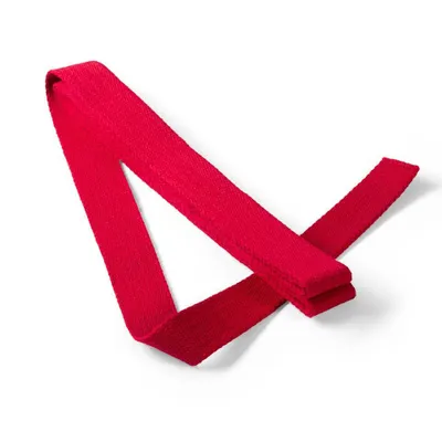 Produktbild von PRYM Gurtband für Taschen 30 mm rot