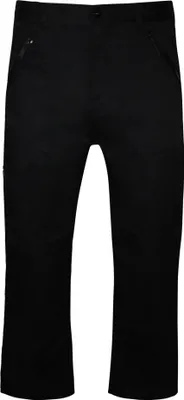 Produktbild von Regatta Professional - Hosen für Herren RG3787 (42 DE S) (Schwarz)