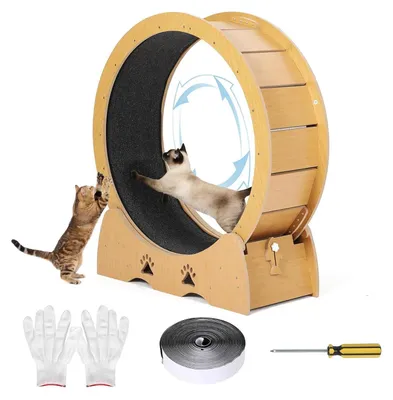 Produktbild von Katzenlaufrad - Trainingsrad - Leise - Mit Teppich-Laufbahn - Abnehmbarer Teppich - Manuell ohne Strom - Für Katzen und Kätzchen - Holz