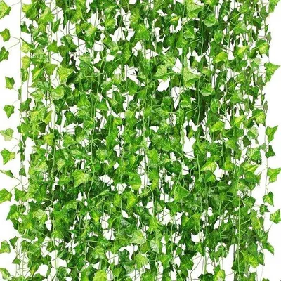Image de Décoration Kunstlimop, lot de 24 pièces, vert, pour la cuisine et la terrasse
