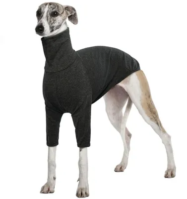 Immagine prodotto di Cappotto invernale per cani, colore grigio, taglia 3XL