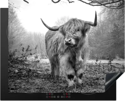 Produktbild von KitchenYeah© Herdabdeckplatte Schottische Highlander - Natur - Herbst - Tiere - Wildtiere - Wald , 65x52cm, Küche Deko, Glaskeramikkochfeld Herdabdeckung, Abdeckplatte fùr Kochfeld