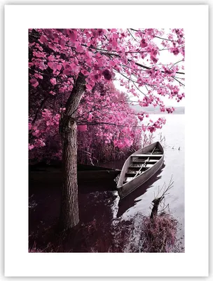 Produktbild von Poster - Poster ohne Rahmen - See Rosa Bäume - 30x40 cm - Wand Bild - Wanddeko - Wandbilder - Kunstposter - Wandposter - Bilder - Kunstdruck - Wanddekoration - Wandbild - P2XPA30x40-4147
