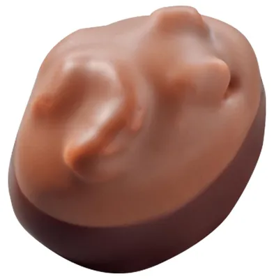 Produktbild von Peters Walnuss-Marzipan Praline 1,5kg