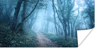Produktbild von MuchoWow® Poster Bäume - Natur - Nebel 40x20 cm - Poster für die Wand - Poster Schlafzimmer