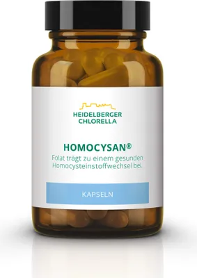 Produktbild von Homocysan, 60 St KAP