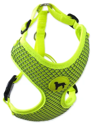 Zdjęcie produktu dla Uprząz Active Dog Mellow M limonkowa 1,5x40-55cm
