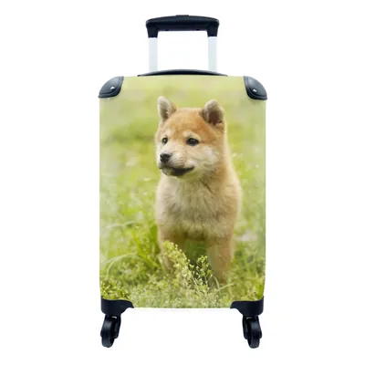Produktbild von MuchoWow® Koffer Handgepäck Trolley Rollkoffer Kleine Reisekoffer mit 4 Rollen - Shiba Inu Welpe im Gras - Cabin Size < 55x40x23 cm & 55x40x20 cm - Fotokoffer - Kabinenkoffer - Boardgepäck - Reise-Box - Reisekoffer - Reisegepäck - Koffer mit Bild - Trolley für Kinder