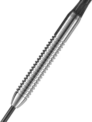Image de Fléchettes Steel Assassin - 21g R