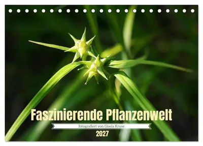 Produktbild von Faszinierende Pflanzenwelt (Tischkalender 2027 DIN A5 quer), CALVENDO Monatskalender