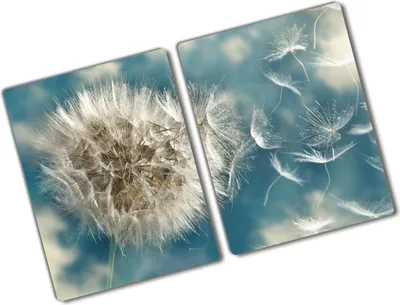 Produktbild von Tulup Glas Herdabdeckplatte - 2x40x52 cm - Glaskeramikkochfeld-Abdeckung Spritzschutz Glasabdeckplatte Kochplattenabdeckung und Schneidebrett - Zweiteilig - Blumen & Pflanzen - Pusteblume - Weiß