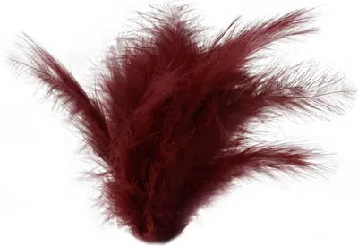 Produktbild von 15-20 Flaumfedern 09-17cm gefärbt Bastelfedern Schmuckfedern Feder Farbwahl, Größe:09 - 17 cm, Farbe:29 bordeaux