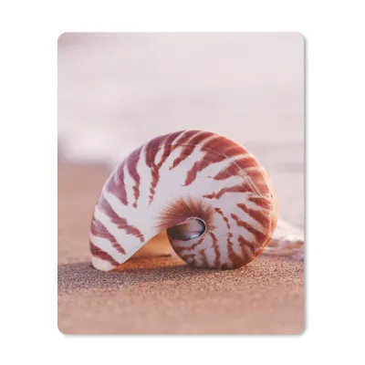 Produktbild von MuchoWow® Mauspad Mousepad Muschel - Strand - Meer - Sand 19x23 cm - Mousepads - Maus Mat - Pad - Mausunterlage - Mauspads - Spielen