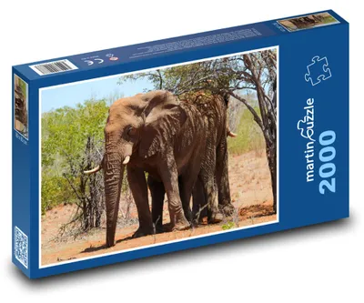 Produktbild von Puzzle 2000 Afrikanischer Elefant in der Savanne - martinpuzzle