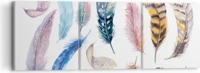 Produktbild von Bild auf Leinwand - Leinwandbild - Federn Vögel Tiere Komposition - 90x30cm - Wand Bild - Wanddeko - Leinwanddruck - Bilder - Kunstdruck - Wanddekoration - Leinwand bilder - Wandkunst - CA90x30-2894