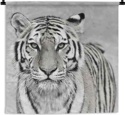 Produktbild von MuchoWow® Wandteppich Wandbehang Tiger - Natur - Schwarz - Weiß 150x150 cm Tapisserie Dekoration Wandtuch - Wohnaccessoires - Modernes