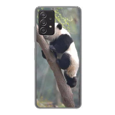 Produktbild von MuchoWow® Handyhülle Schutzhülle Hülle für Samsung galaxy a73 Panda - Tier - Baum Silikon Softcase Handy Hülle - Handyhülle