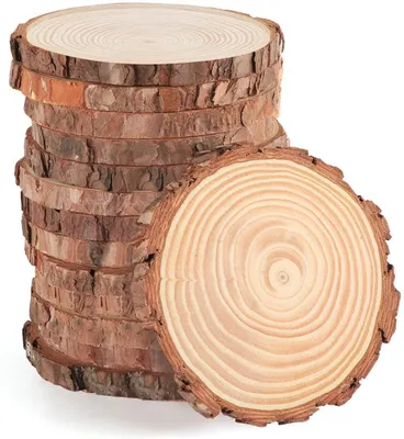 Holzscheiben 10-12 cm, 10 Stück, unbehandelt, zum Basteln und Dekorieren