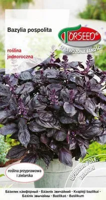 Produktbild von Samen von rotem Basilikum, Ocinum basilicum 0,2g - Torseed