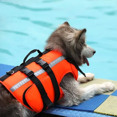 Produktbild von Hundeschwimmweste – Verstellbare Schwimmhilfe – Sicherheit für Ihren Hund – Reflektierend – Ideal für Surfen und Bootsfahrten – Leicht und langlebig…