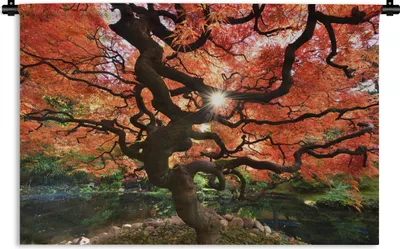 Produktbild von MuchoWow® Wandteppich Wandbehang Ein japanischer Ahorn mit ungewöhnlichen Formen 150x100 cm Tapisserie Dekoration Wandtuch - Waschbar - Tapisserien - Wand-Decke