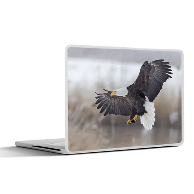 Produktbild von MuchoWow® Laptop Aufkleber Sticker Cover Amerikanischer Weißkopfseeadler - Adler - Vogel 30x22 cm - Laptop-Sticker