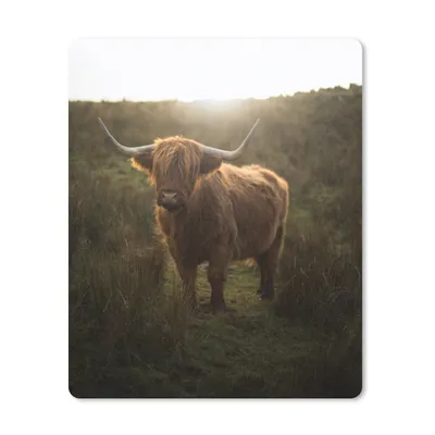 Produktbild von MuchoWow® Mauspad Mousepad Schottische Highlander - Natur - Sonne 19x23 cm - Mousepads - Maus Mat - Pad - Mausunterlage - Mauspads - Spielen