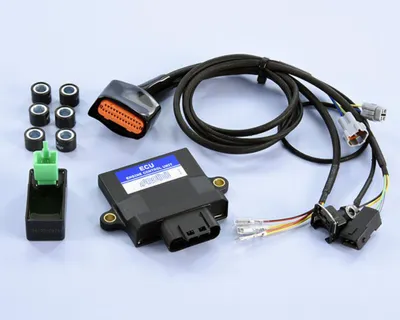 Obrázek produktu pro POLINI ECU Box