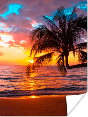 Produktbild von MuchoWow® Poster Palme - Sonnenuntergang - Strand - Meer - Horizont 120x160 cm - Wandbilder