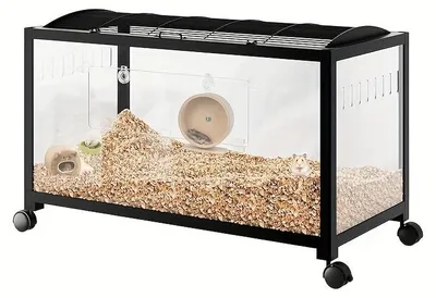 Image de Cage transparente pour hamster, offrant une vue à 360 degrés, idéale pour les petits rongeurs, avec des roues et une ventilation